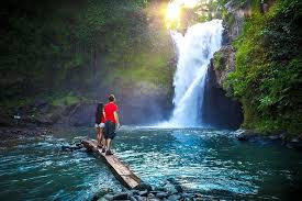Scenic Ubud & Kintamani Volcano Tour