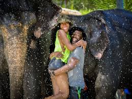 Elephant Jungle Sanctuary Phuket Experience sic / pvt