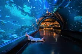 Aquaria Phuket ticket with transfer