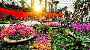Gardens by the Bay (Cloud Forest + Flower Dome)