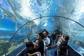 Aquaria KLCC Entry Ticket
