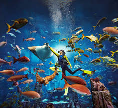 Lost World Aquarium + Interactive Trident (Private Transfer)