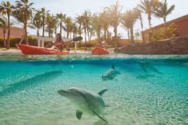Atlantis Aquaventure Waterpark Day Pass + Dolphin Kayak