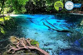 Emerald Pool & Hot Springs – Private Tour