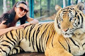 Full-Day Tour with Tiger Cave Temple, Emerald Pool and Wareerak Spa ( sic )